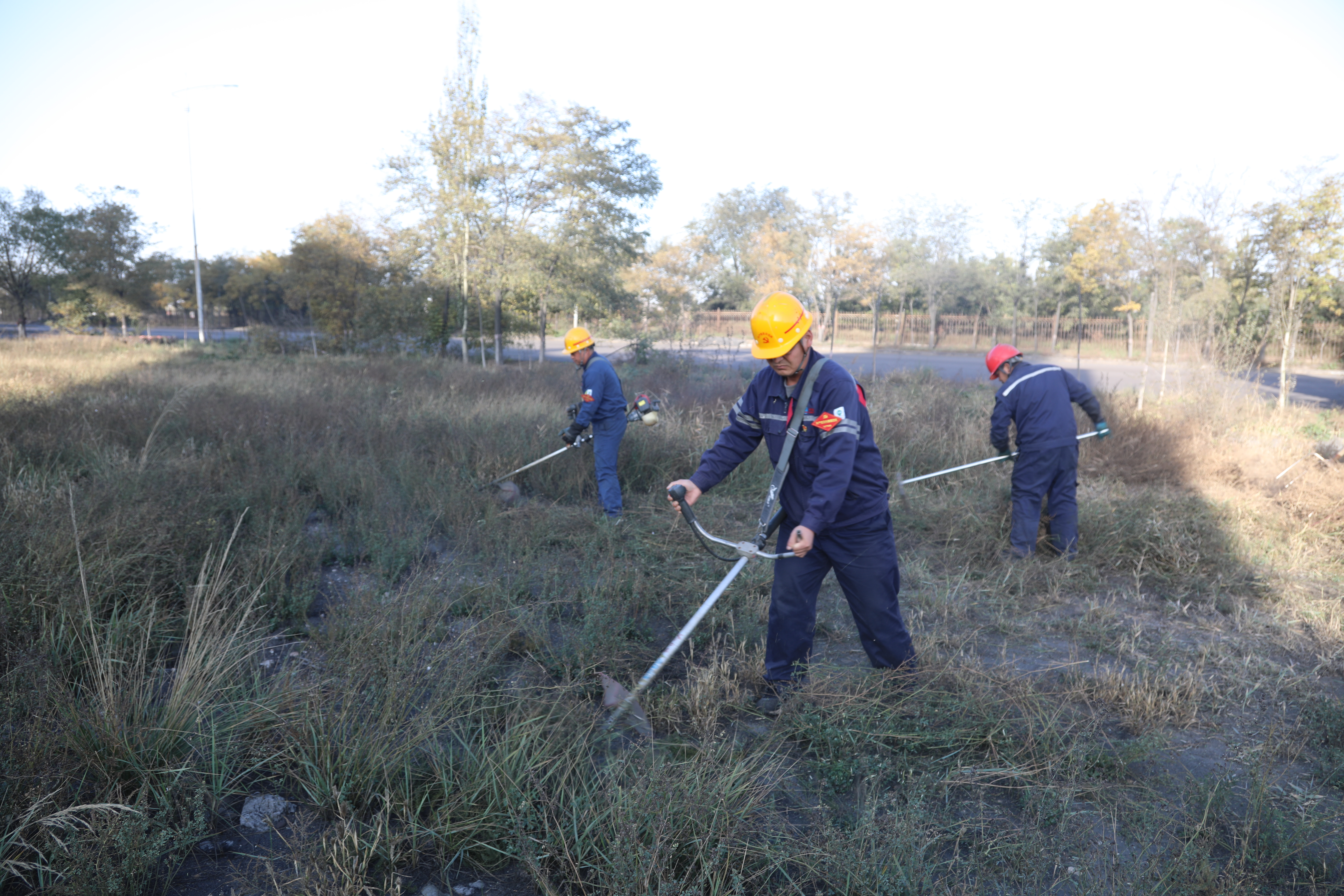 40455a5c-7886-11ee-b97d-b1c5109c0bc5.jpg 40455a5c-7886-11ee-b97d-b1c5109c0bc5.jpg